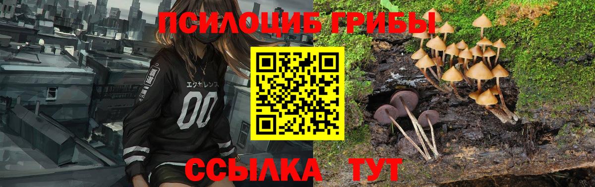 Псилоцибиновые грибы мухоморы  Вход с VPN  Чапаевск 