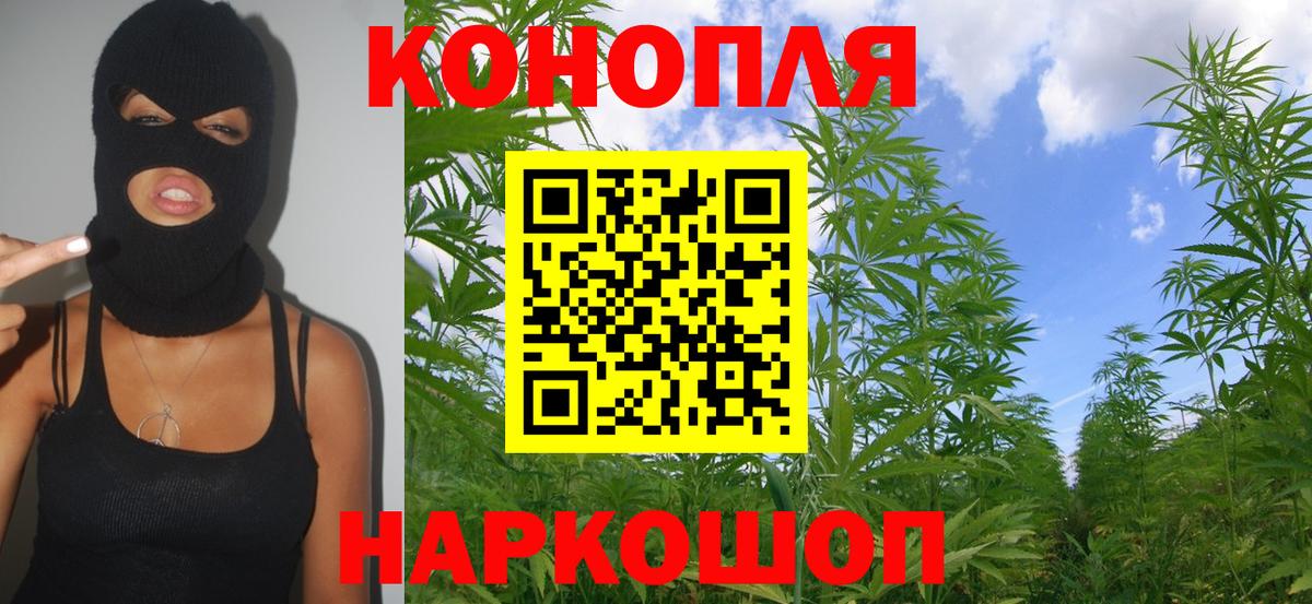 Чапаевск  Бошки марихуана семена  Шишки марихуана планчик  Вход с VPN 